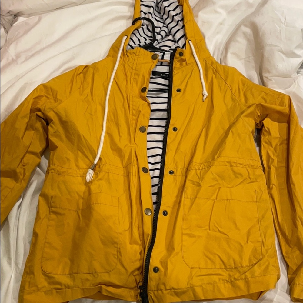 Yellow Jacket